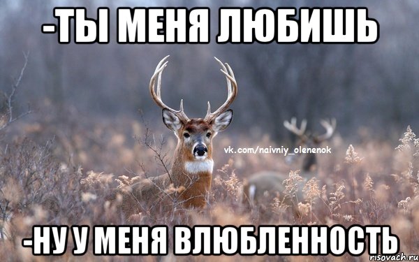 -ты меня любишь -ну у меня влюбленность, Мем  Наивный Олененок