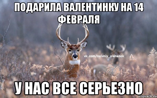 подарила валентинку на 14 февраля у нас все серьезно, Мем  Наивный Олененок