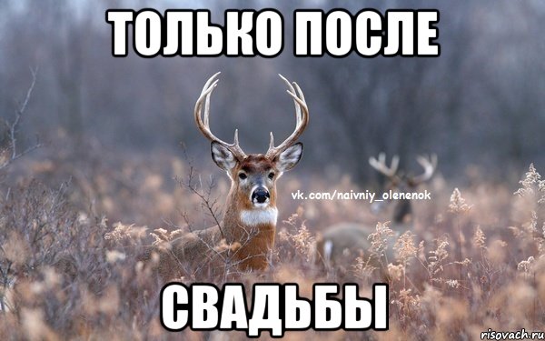 только после свадьбы