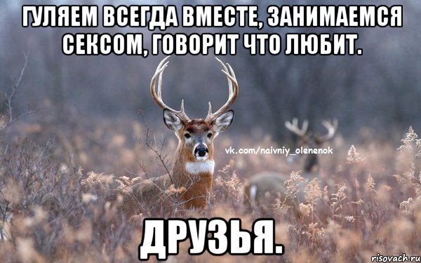 Гуляем всегда вместе, занимаемся сексом, говорит что любит. Друзья., Мем  Наивный Олененок