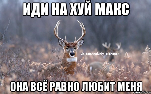 иди на хуй макс она всё равно любит меня, Мем  Наивный Олененок