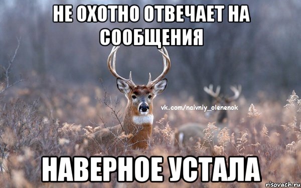 не охотно отвечает на сообщения наверное устала, Мем  Наивный Олененок