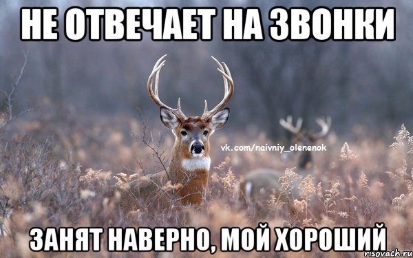 НЕ ОТВЕЧАЕТ НА ЗВОНКИ ЗАНЯТ НАВЕРНО, МОЙ ХОРОШИЙ, Мем  Наивный Олененок