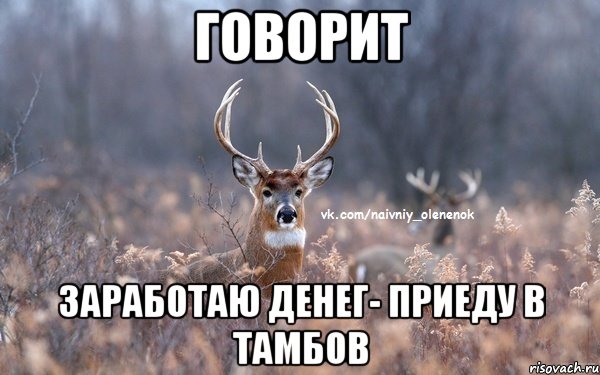 говорит заработаю денег- приеду в Тамбов, Мем  Наивный Олененок