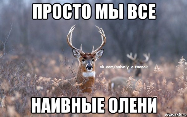 Просто мы все наивные олени, Мем  Наивный Олененок