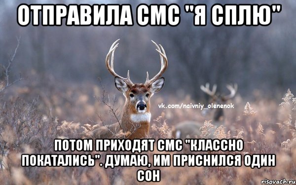 Отправила смс "я сплю" Потом приходят смс "классно покатались". Думаю, им приснился один сон, Мем  Наивный Олененок