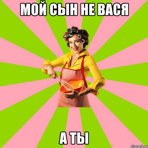 Мой сын не Вася а ты