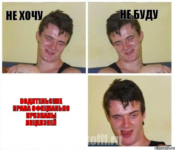 Не хочу Не буду Водительские права официально признаны лицензией