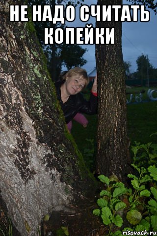 не надо считать копейки 