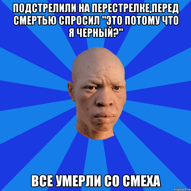 Подстрелили на перестрелке,перед смертью спросил "это потому что я черный?" все умерли со смеха, Мем НЕДОВОЛЬНЫЙ АЛЬБИНОС