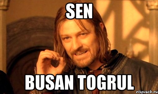 SEN BUSAN TOGRUL, Мем Нельзя просто так взять и (Боромир мем)