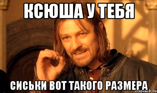 ксюша у тебя сиськи вот такого размера, Мем Нельзя просто так взять и (Боромир мем)