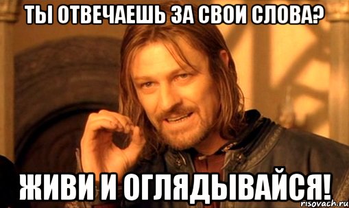 ТЫ ОТВЕЧАЕШЬ ЗА СВОИ СЛОВА? ЖИВИ И ОГЛЯДЫВАЙСЯ!, Мем Нельзя просто так взять и (Боромир мем)