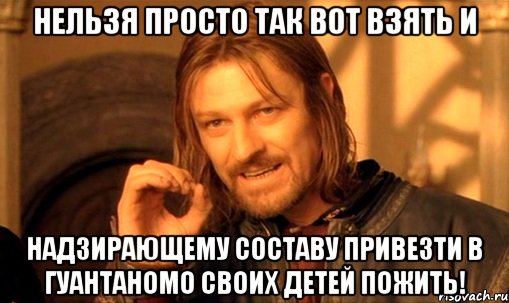 Нельзя просто так вот взять и надзирающему составу привезти в Гуантаномо своих детей пожить!, Мем Нельзя просто так взять и (Боромир мем)