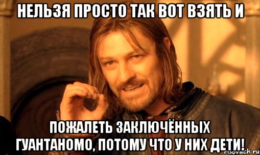 Нельзя просто так вот взять и пожалеть заключённых Гуантаномо, потому что у них дети!, Мем Нельзя просто так взять и (Боромир мем)