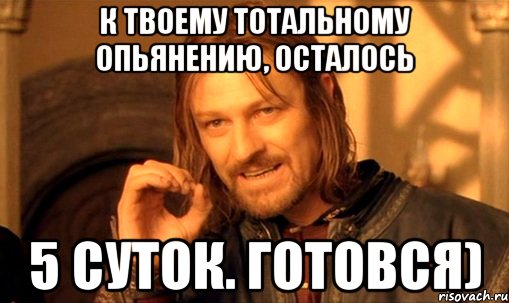 К твоему Тотальному Опьянению, осталось 5 суток. Готовся), Мем Нельзя просто так взять и (Боромир мем)