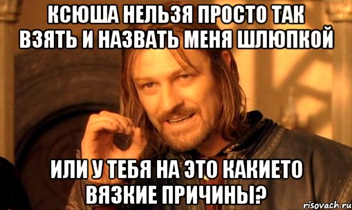 Ксюша нельзя просто так взять и назвать меня шлюпкой или у тебя на это какието вязкие причины?, Мем Нельзя просто так взять и (Боромир мем)