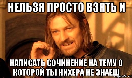 нельзя просто взять и написать сочинение на тему о которой ты нихера не знаеш, Мем Нельзя просто так взять и (Боромир мем)