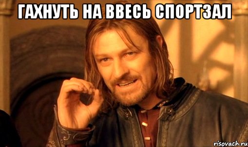 гахнуть на ввесь спортзал , Мем Нельзя просто так взять и (Боромир мем)