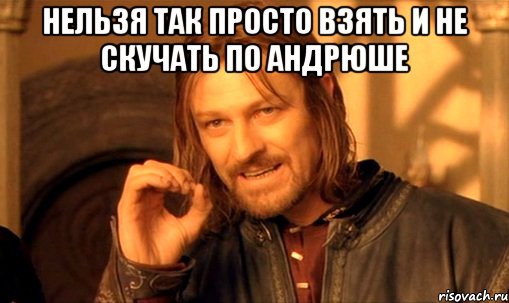 Нельзя так просто взять и не скучать по Андрюше , Мем Нельзя просто так взять и (Боромир мем)