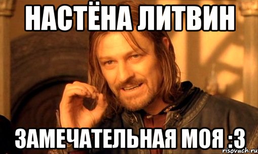 Настёна Литвин замечательная моя :3, Мем Нельзя просто так взять и (Боромир мем)