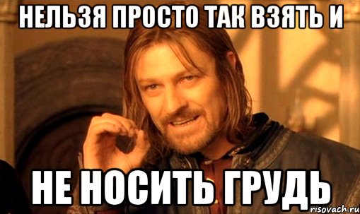 Нельзя просто так взять и не носить грудь, Мем Нельзя просто так взять и (Боромир мем)