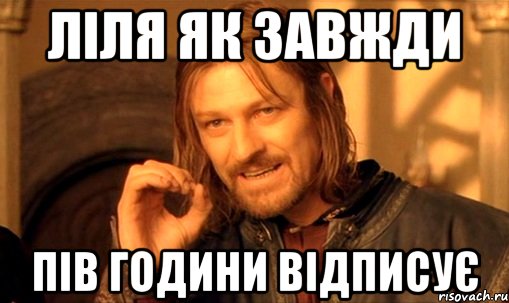 ліля як завжди пів години відписує, Мем Нельзя просто так взять и (Боромир мем)