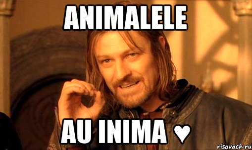 Animalele au inima ♥, Мем Нельзя просто так взять и (Боромир мем)