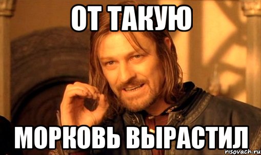 от такую морковь вырастил, Мем Нельзя просто так взять и (Боромир мем)