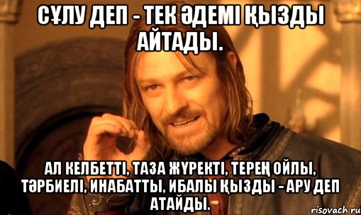 Сұлу деп - тек әдемі қызды айтады. Ал келбетті, таза жүректі, терең ойлы, тәрбиелі, инабатты, ибалы қызды - Ару деп атайды., Мем Нельзя просто так взять и (Боромир мем)