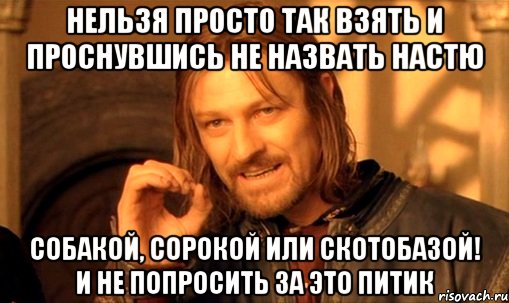 нельзя просто так взять и проснувшись не назвать Настю собакой, сорокой или скотобазой! и не попросить за это питик, Мем Нельзя просто так взять и (Боромир мем)