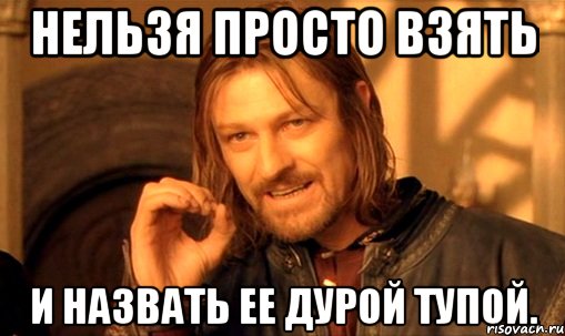 нельзя просто взять и назвать ее дурой тупой., Мем Нельзя просто так взять и (Боромир мем)