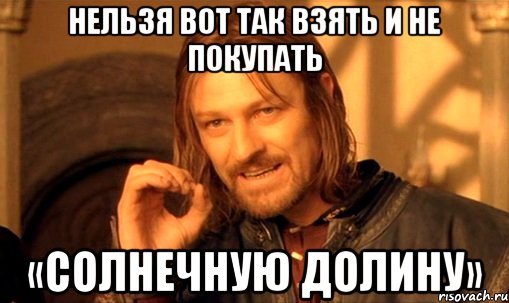 Нельзя вот так взять и не покупать «Солнечную Долину», Мем Нельзя просто так взять и (Боромир мем)