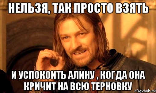 Нельзя, так просто взять И успокоить Алину , когда она кричит на всю Терновку, Мем Нельзя просто так взять и (Боромир мем)