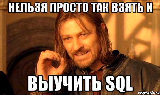 НЕЛЬЗЯ ПРОСТО ТАК ВЗЯТЬ И ВЫУЧИТЬ SQL, Мем Нельзя просто так взять и (Боромир мем)