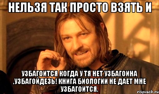 нельзя так просто взять и узбагоится когда у тя нет узбагоина ,узбагойдезь! книга биологии не дает мне узбагоится., Мем Нельзя просто так взять и (Боромир мем)