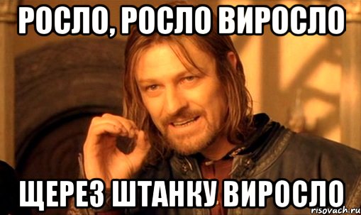 росло, росло виросло щерез штанку виросло, Мем Нельзя просто так взять и (Боромир мем)