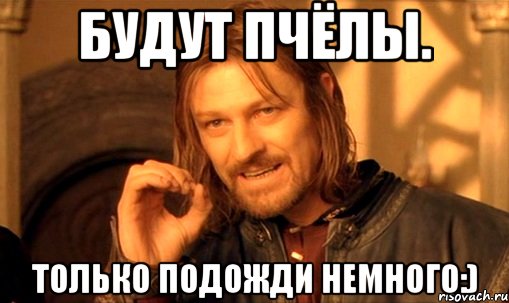 Будут пчёлы. только подожди немного:), Мем Нельзя просто так взять и (Боромир мем)