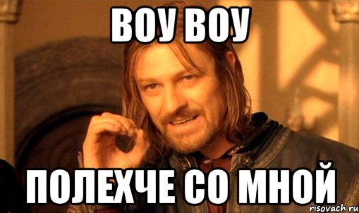 Воу Воу полехче со мной, Мем Нельзя просто так взять и (Боромир мем)