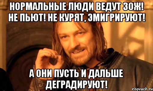 Нормальные люди ведут ЗОЖ! Не пьют! Не курят, эмигрируют! А они пусть и дальше деградируют!, Мем Нельзя просто так взять и (Боромир мем)
