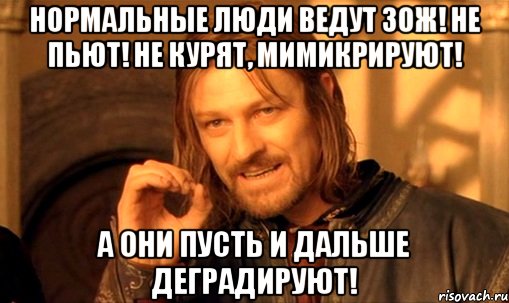 Нормальные люди ведут ЗОЖ! Не пьют! Не курят, мимикрируют! А они пусть и дальше деградируют!, Мем Нельзя просто так взять и (Боромир мем)