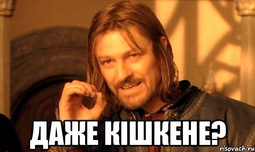  Даже кiшкене?, Мем Нельзя просто так взять и (Боромир мем)