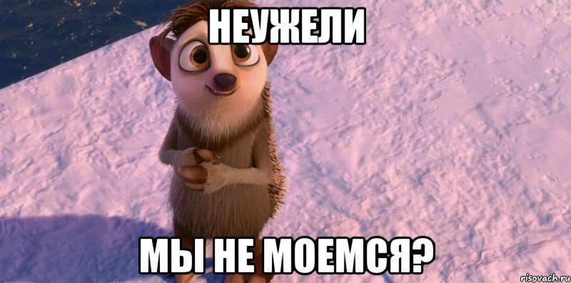 Неужели мы не моемся?, Мем Неужели