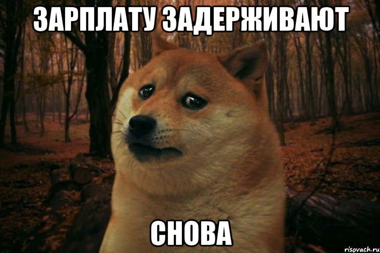 Зарплату задерживают Снова
