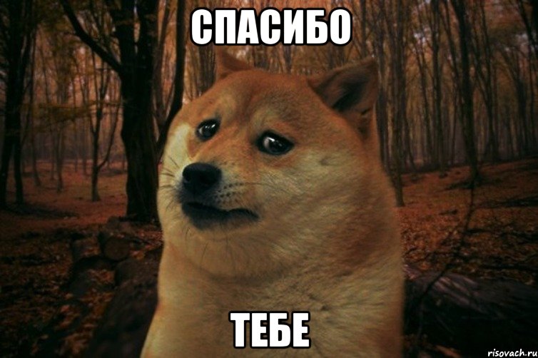 спасибо тебе