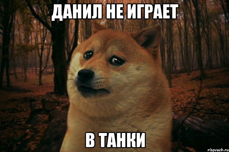 данил не играет в танки