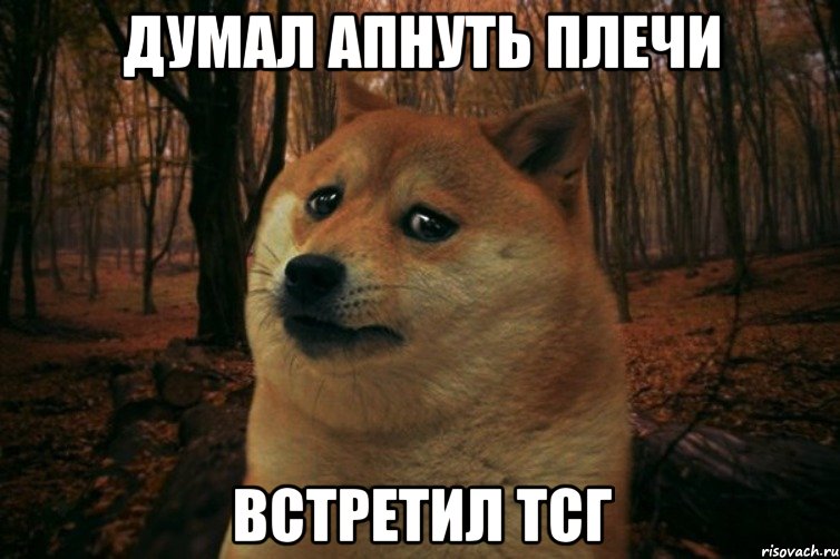 Думал апнуть плечи Встретил ТСГ