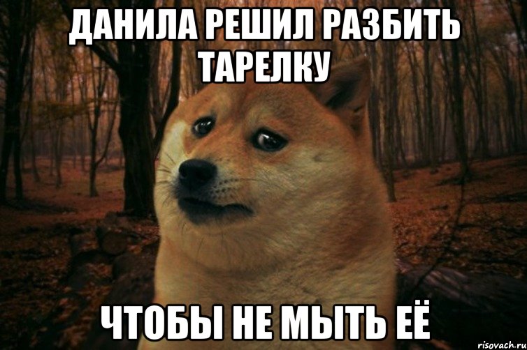Данила решил разбить тарелку чтобы не мыть её