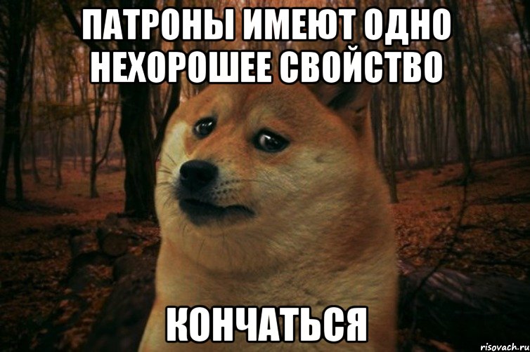 Патроны имеют одно нехорошее свойство кончаться