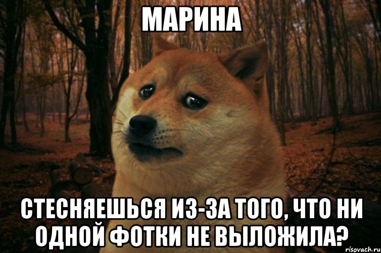 МАРИНА стесняешься из-за того, что ни одной фотки не выложила?